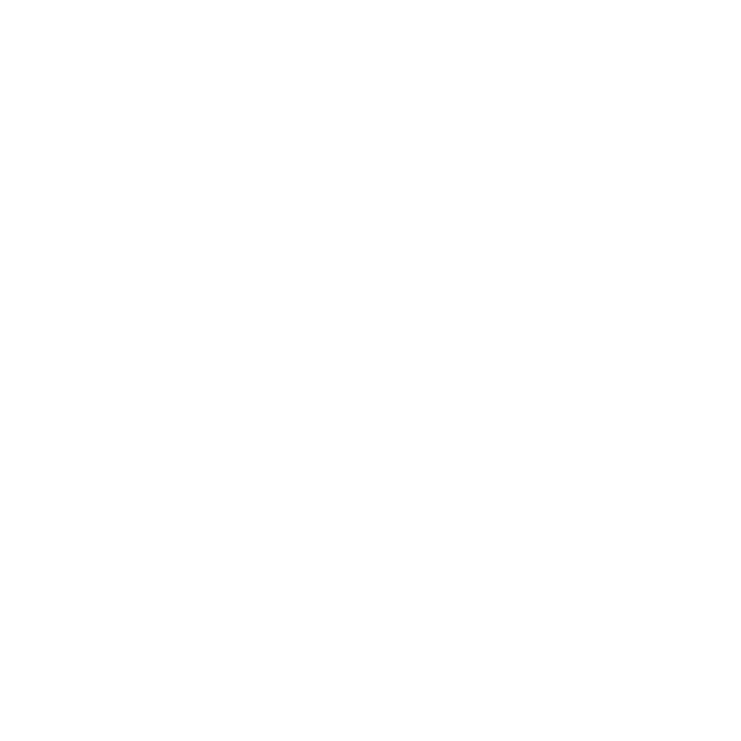LPDP